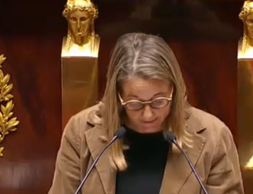 L’Eusko cité en exemple à l’Assemblée