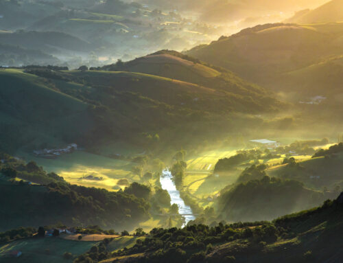 L’Eusko, monnaie de l’agriculture paysanne et durable